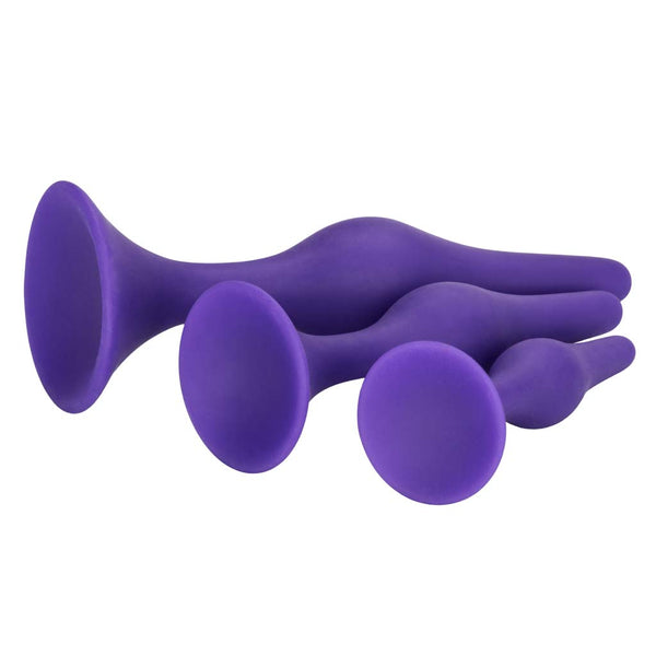 Silicone Booty Call Anal Sex Trainer Kit by Cal Exotics